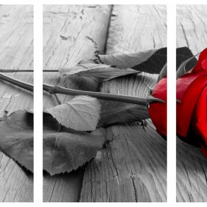 Модульна картина Декор Карпати 100х53 см Роза (M3-red rose on wood) (код M3-red rose on wood)