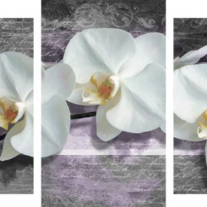 Модульная картина Декор Карпаты 100х53 см Белые орхидеи (M3-454 х3)