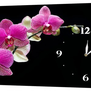 Настенные часы Декор Карпаты 24х44 Орхидеи Черный (24х44-c5) (код 24х44-c5)