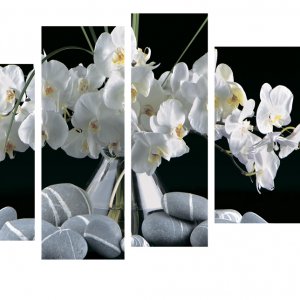 Модульна картина Декор Карпати 110х70 см Білі Орхідеї (M4-K797)