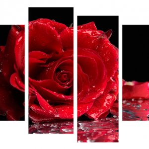 Модульная картина Декор Карпаты 110х70 см Красная Роза (M4-c174) (код M4-c174)