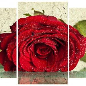 Модульна картина Декор Карпати 100х53 см Червона троянда (M3-t123)