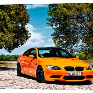 Картина на холсте Декор Карпаты BMW 50х100 см (M806)