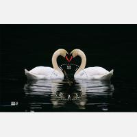 Часы-картина "Влюбленные лебеди"