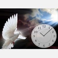 Часы с картиной "Белый голубь" (код cha2-31)