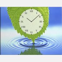 Годинник з картиною "Осиковий лист над водою"