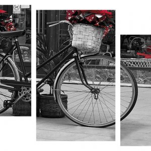 Модульна картина Декор Карпати 100х53 см Велосипед (M3-G 159)