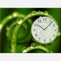 Часы с картиной "Травинки в росе"
