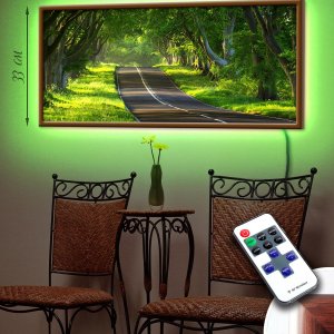 LED – картина "Лісова дорога"