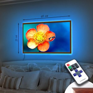 LED – картина "Квітка і жучок" (код Led1-25)