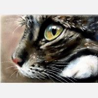 Картина на полотні "Котяча морда" (код а2-194)