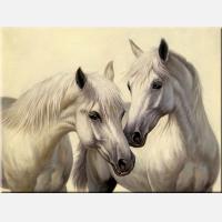 Картина на холсте "Белые лошади"