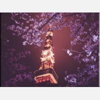 Картина на холсте "Телевизионная башня.Токио"